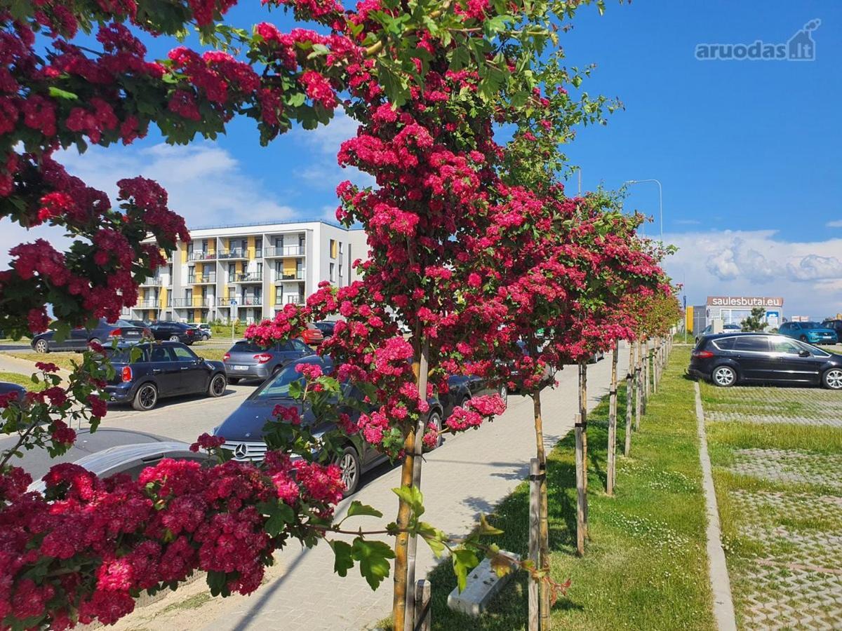 New Studio Free Parking Клайпеда Экстерьер фото